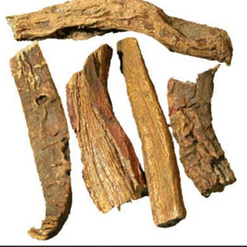 Revand Chini, Packaging Size: 20 To 40 Kg, Packaging Type: Pp Bag