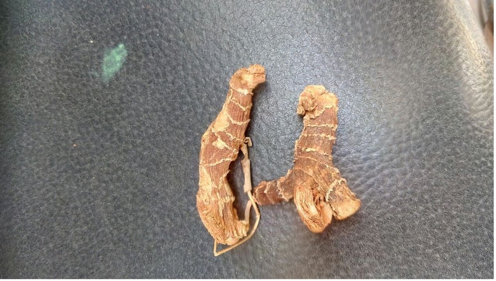 Galangal Root, Packaging Size: 150 Gm