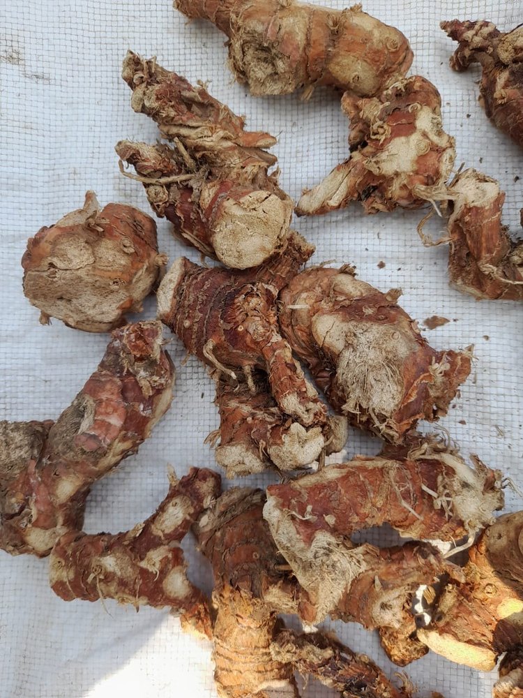 Dry Galangal Roots, 20 KG