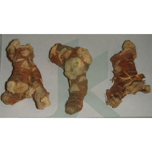 Alpinia Galangal / Greater Galangal Root