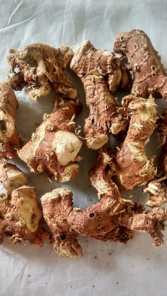 Dried Galangal Root