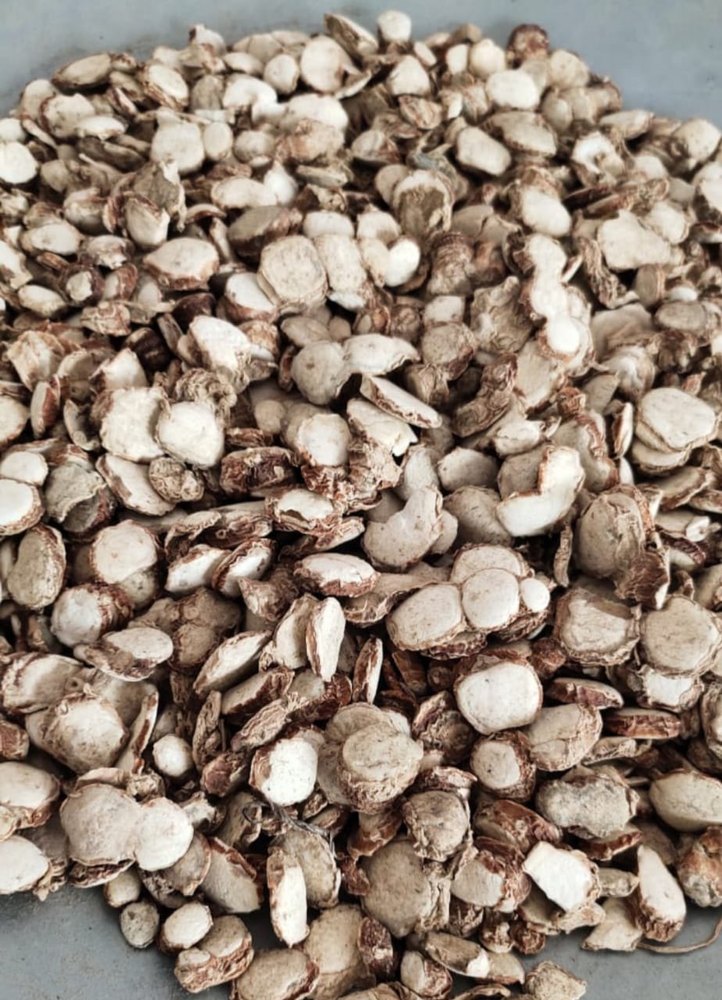ZEDOARY ROOT (KAEMPFERIA SPP) DRIED