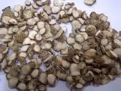 Zedoary Root