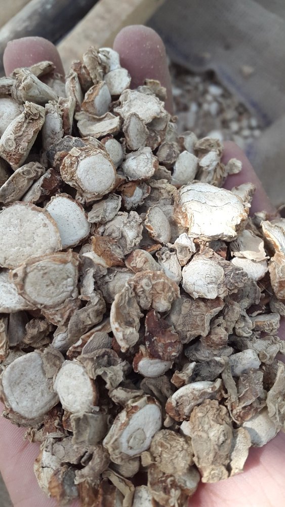 Zedoary Root
