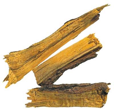 Berberis Aristata Root