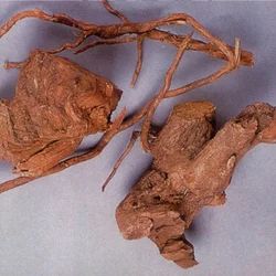 Berberis Aristata Root