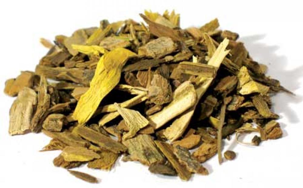 Berberis Aristata Roots