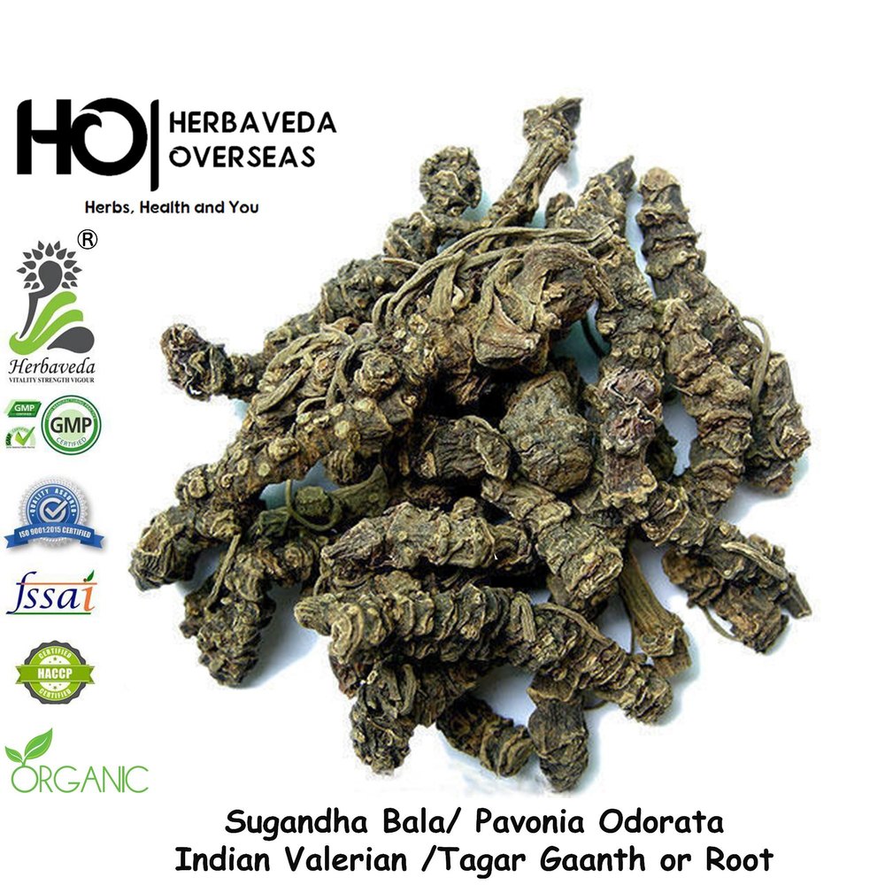 Brown Natural Tagar Roots Sugandh Bala Vallerian Root, Packaging Type: Bag, Packaging Size: 5 Kg