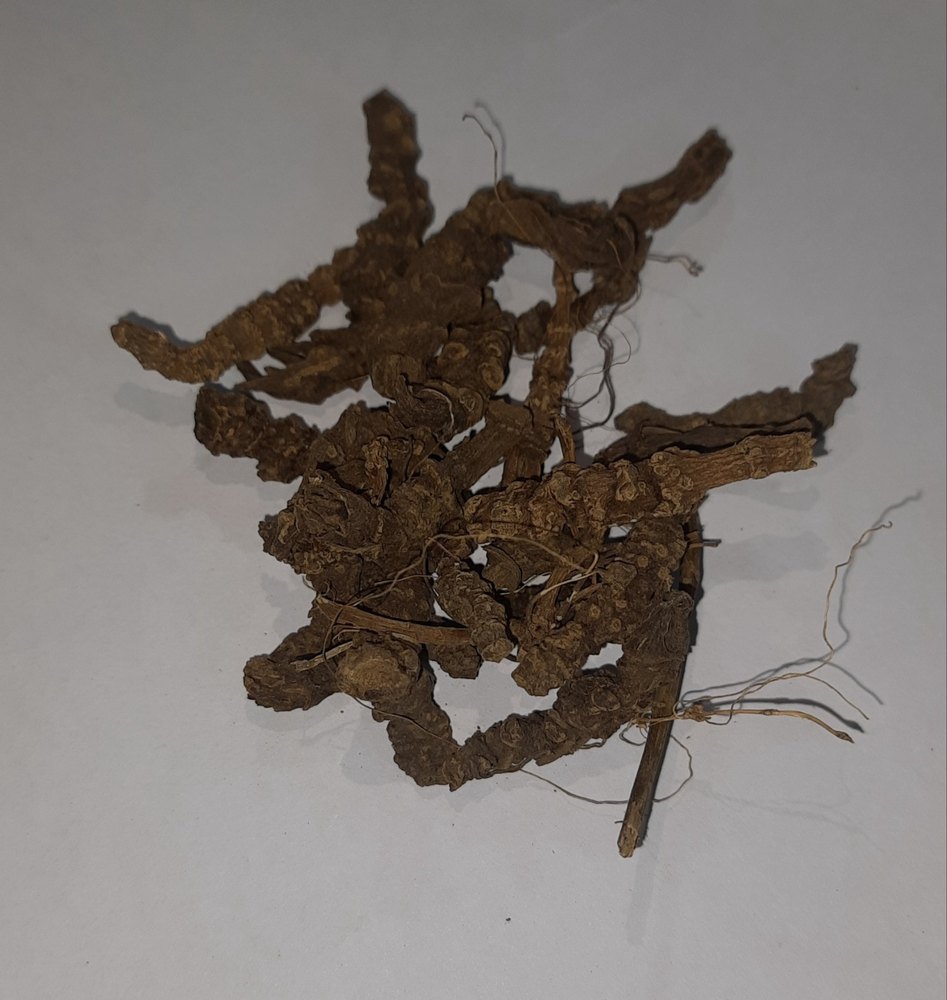 Root Raw Tagargat Asaroon