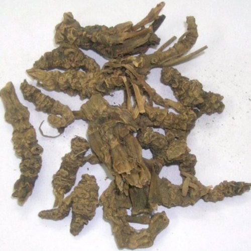 Tagar Root, Packaging Size: Up To 100 Kg, Packaging Type: Pp Bag