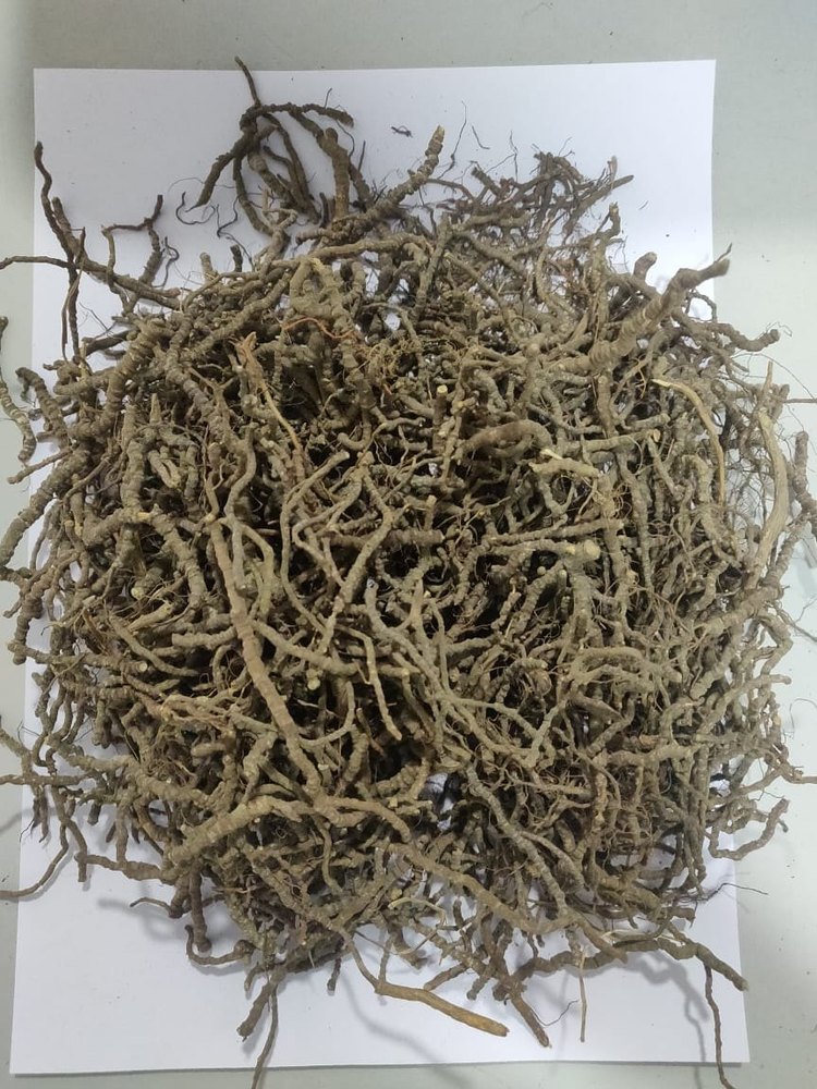 Carapichea Ipecacuanha Black Ipecac Roots Dried, Packaging Type: PP Bag