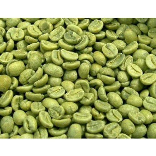 Alpha Seeds Arabica Cherry A Green Coffee Bean