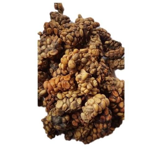 Civet Coffee Beans