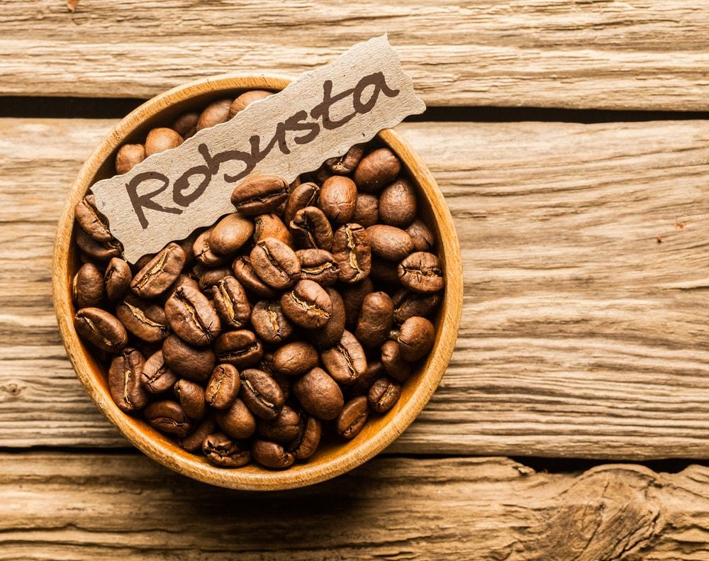 Robusta Coffee Beans (Pack of 50)