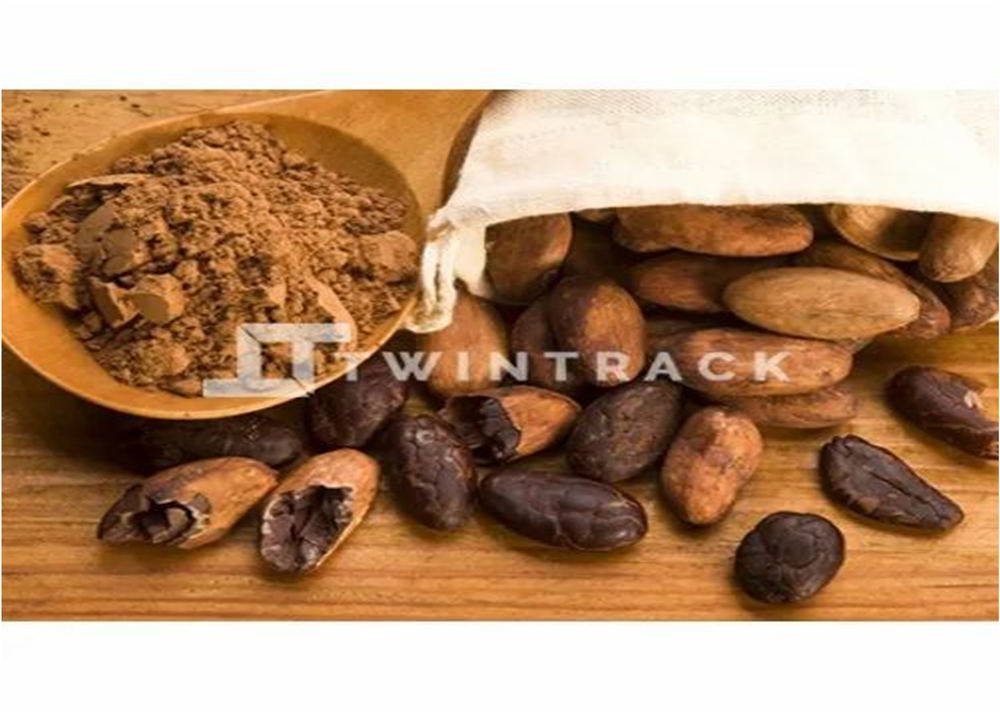 Live More Organic Dried Raw Cocoa Beans