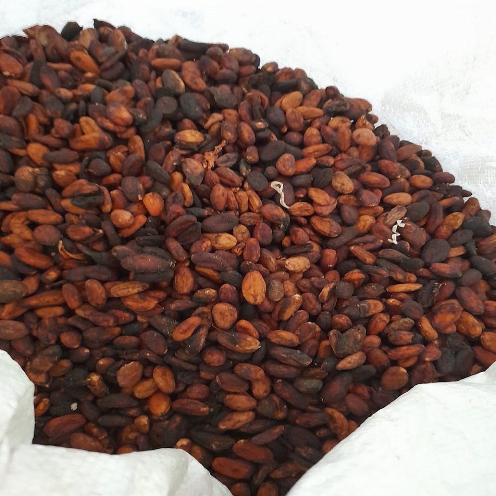 S.V.S Exports Coffee Cocoa Beans Confectionery