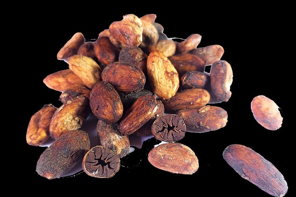 Dry Cocoa