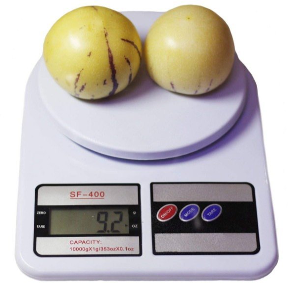 Xfinity Virgin plastic SF 400 Kitchen Digital Electronics Weighing machine