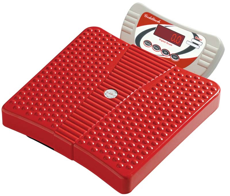 Steel Red Personal Scale Weighbridge