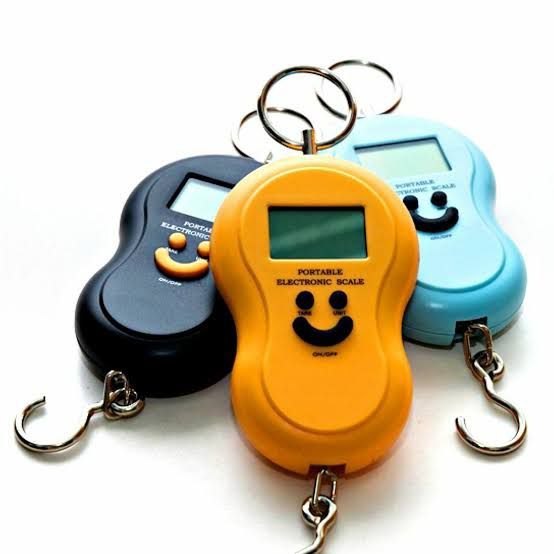Electronic Portable Scale