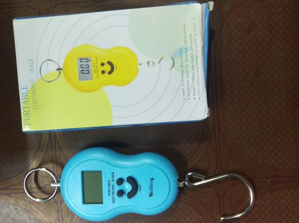 National External Portable Electronic Scale, For Jewelry, Capacity: 50kg