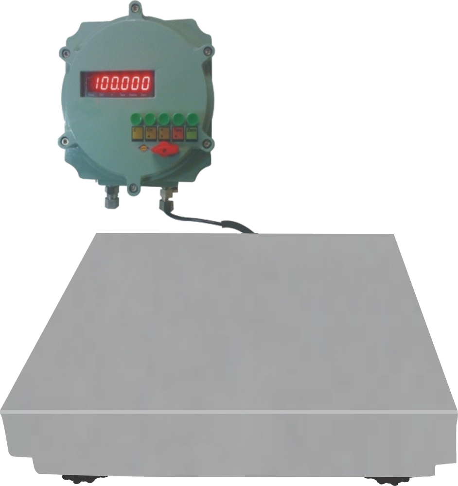 Saffron Flame Proof Platform Scale, Model Number: SES50FP, Accuracy: 5 G