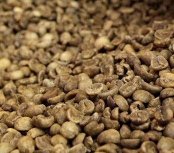 Plain Coffee Beans