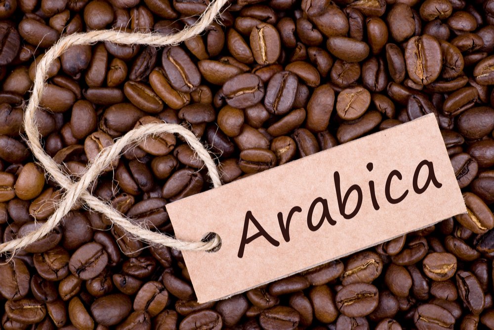 Cafe Lilo 100% Arabica Roasted Coffee Beans AAA Quality