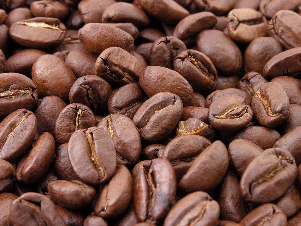 Aa Robusta Fresh Roasted Coffee Beans, Grade: Premium, Packaging Type: 25kg PP Bag