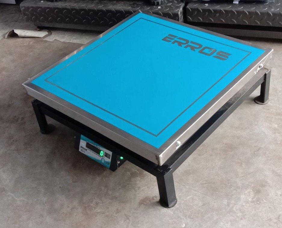 Erros Stainless Steel Portable Electronic Weighing scale, Model Name/Number: EWIPP300