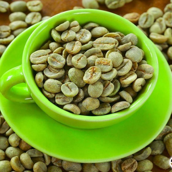 Alpha Seeds Arabica Cherry AA Green Coffee Bean