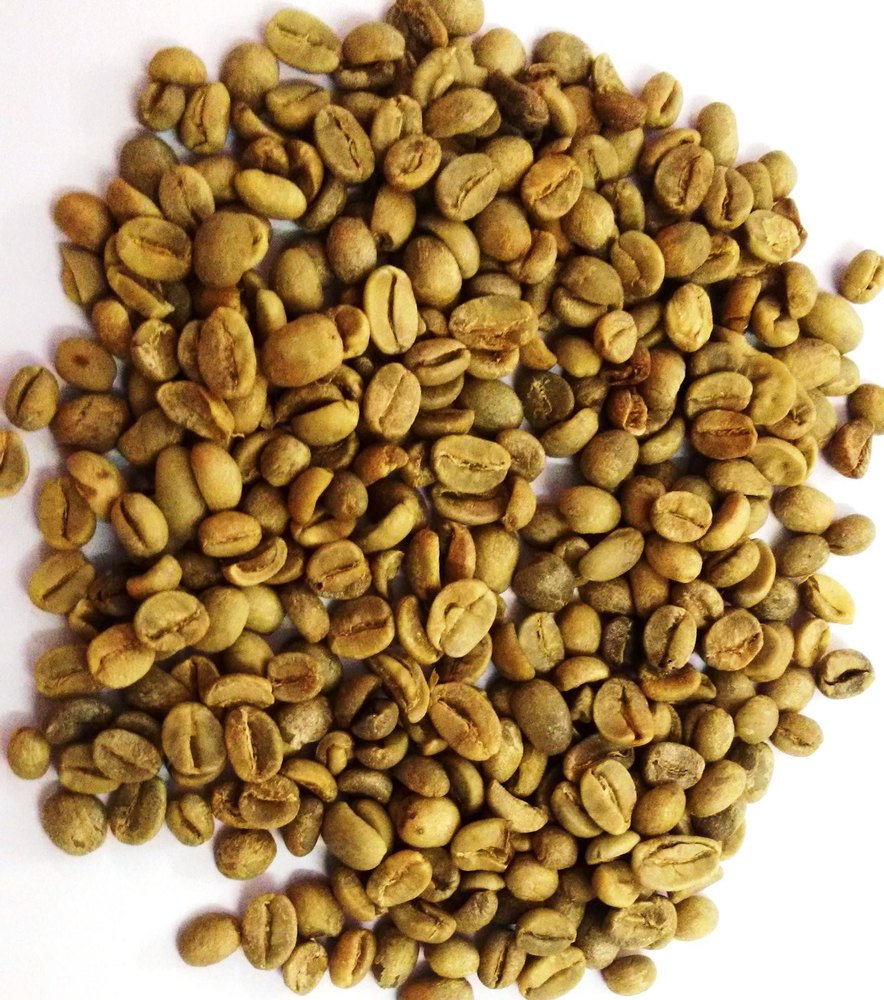 Seeds Robusta, Arabica Green Coffee Bean