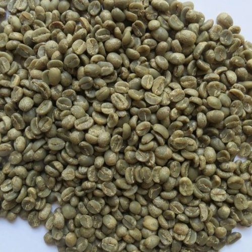 Alpha Seeds Robusta Parchment AAA Green Coffee Bean