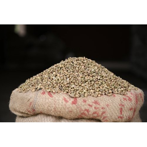 Robusta Green Coffee Bean, Grade: Premium