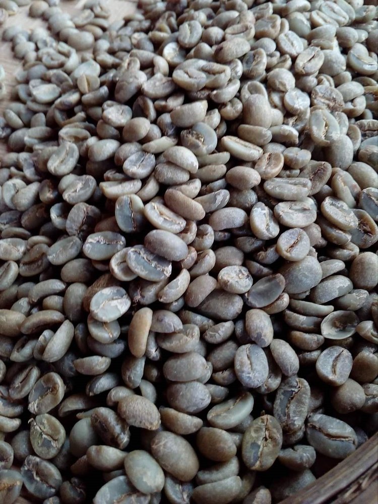 Raw Coffee Beans, For Home