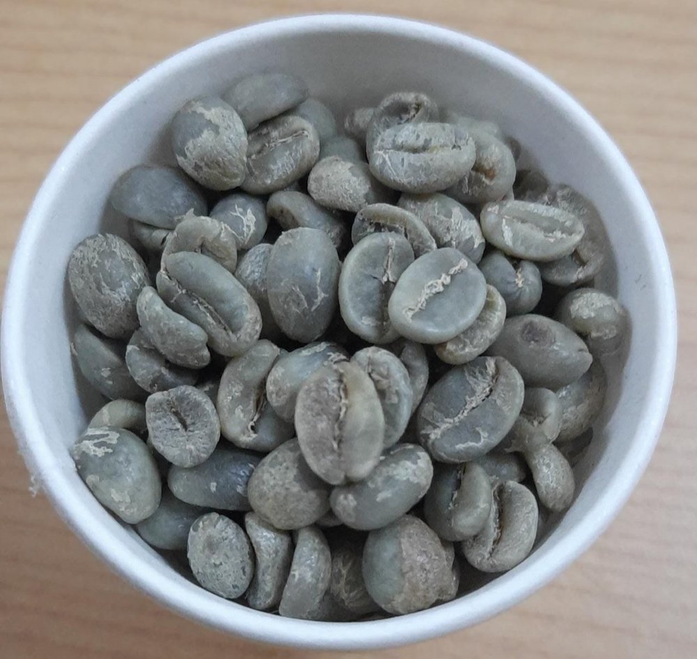 Arabica Organic Green Coffee Beans, Grade: Bulk