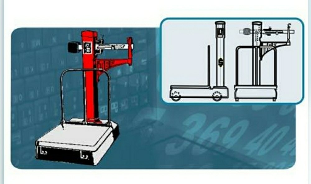 Steel Yard Type Mechanical Platform Scale