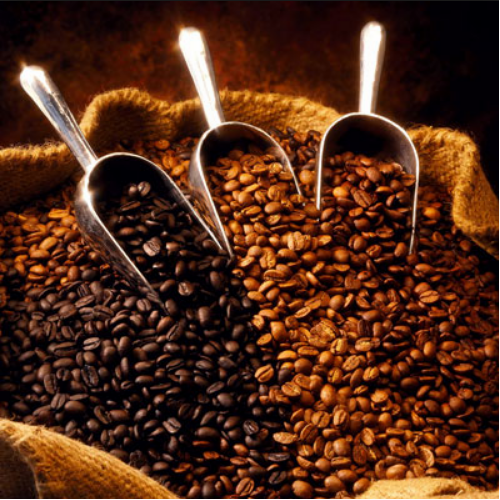 Beans Gemini Roasted Coffee Bean