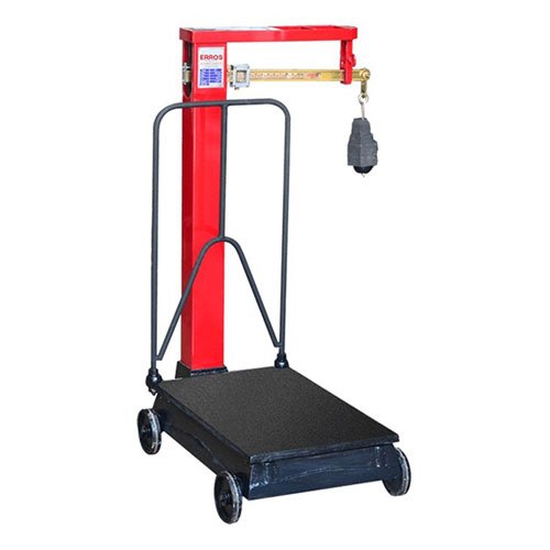 Erros Mild Steel Mechanical Platform Scale, Capacity: 300 Kg