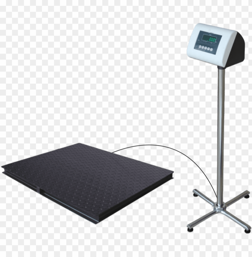 Essae Platform Floor Weighing Scale, Model Name/Number: DS-415N, Capacity: 1000Kg