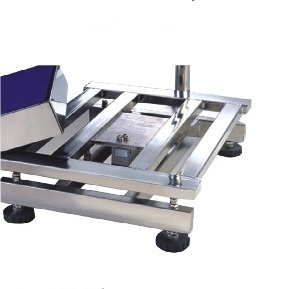 Accuweigh Complete SS Scales for GMP Area Application