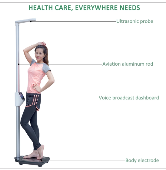 Body Mass Index Machine, Model Number: BMIRK001