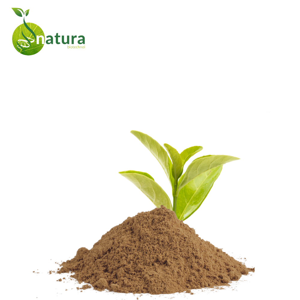 Brown Natura Green Tea Extract, Packaging Type: Packet, Packaging Size: 1 kg