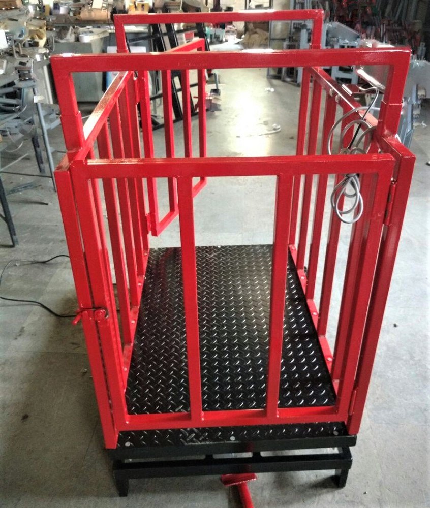 RUDRA Sheep And Goat Weighing Scale, Model Name/Number: Rap, Accuracy: 10 G To 200 G