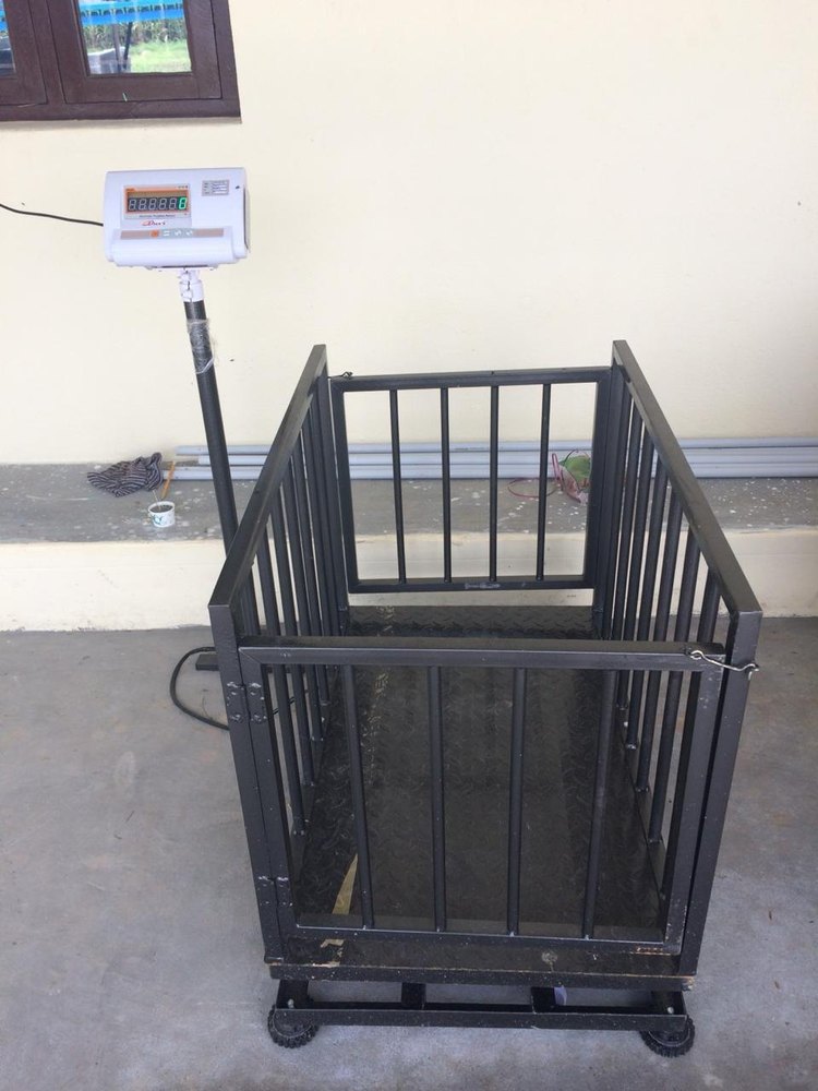 Goat Weighing Scale, For Business, Shop, Size: 600*900mm