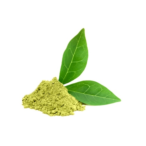 Green Tea Powder Extract, Packaging Type: Packets, Packaging Size: 1 - 5 Kg