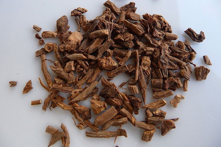 Indrayan Roots - Indrayan Mool