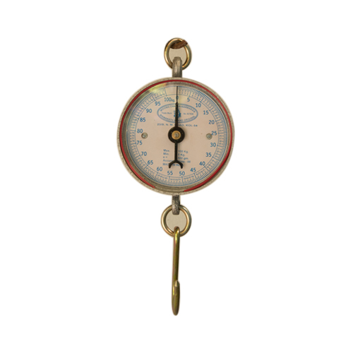 100 Kg Dial Balance