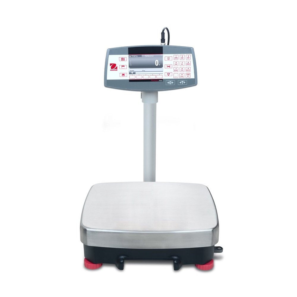 High Precision Weighing Scale, Model Name/Number: R71MD60, Capacity: 60kg