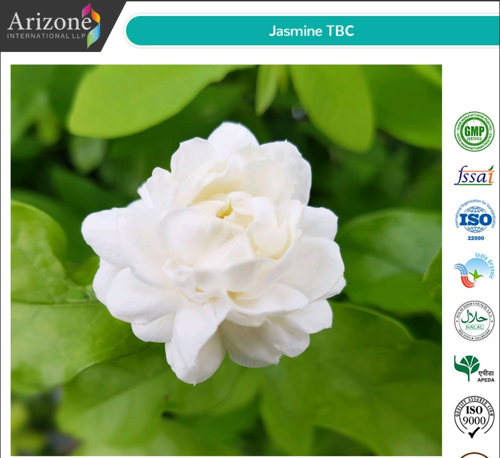 Arizone Jasmine Flower Tea Bag Cut, Packaging Type: PP B, Packaging Size: 25kgs